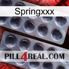 Springxxx 31